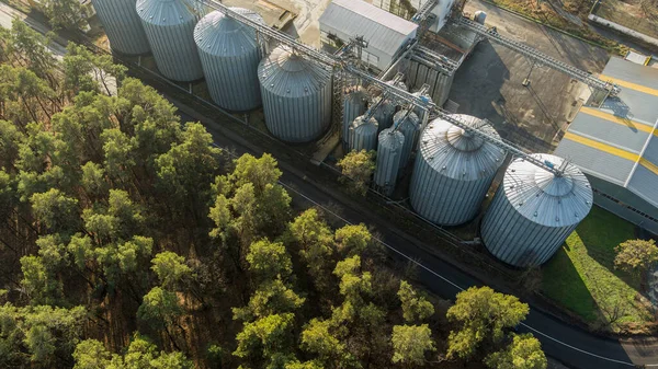 Silos Plata Planta Fabricación Agrícola Para Procesamiento Secado Limpieza Almacenamiento —  Fotos de Stock