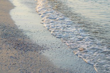 Beyaz kumlu ve sakin denizli yaz manzaralı bir sahil. Mükemmel plaj tatili ve yaz tatili konsepti