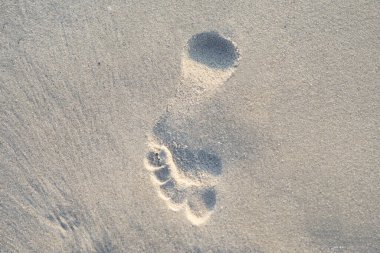 Beyaz kumlu ve sakin denizli yaz manzaralı bir sahil. Mükemmel plaj tatili ve yaz tatili konsepti