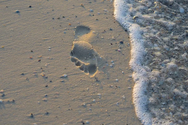 Beyaz kumlu ve sakin denizli yaz manzaralı bir sahil. Mükemmel plaj tatili ve yaz tatili konsepti