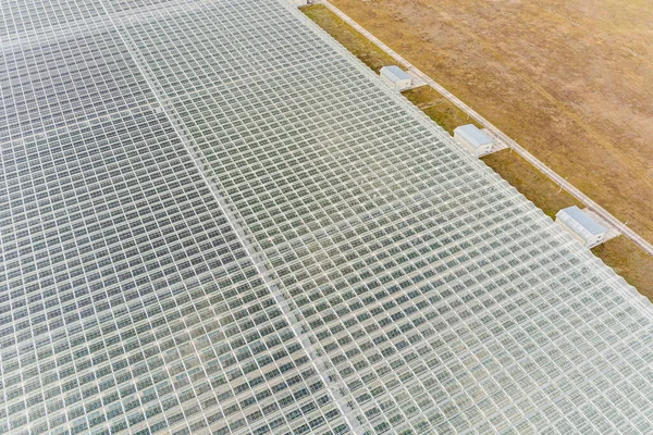 Los Invernaderos Están Alineados Una Fila Cubiertos Con Vidrio Transparente — Foto de Stock