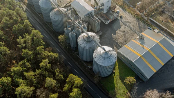 Silos Plata Planta Fabricación Agrícola Para Procesamiento Secado Limpieza Almacenamiento —  Fotos de Stock