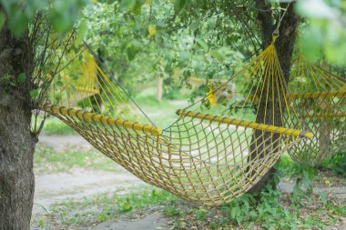 Yaz günü elma bahçesindeki hamağın manzarası.