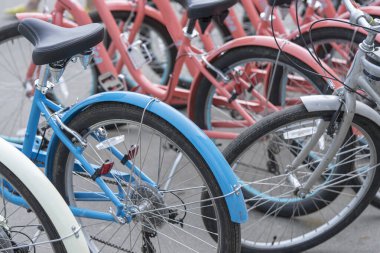 Şehirde bisiklet parkı, bisiklet kiralama.