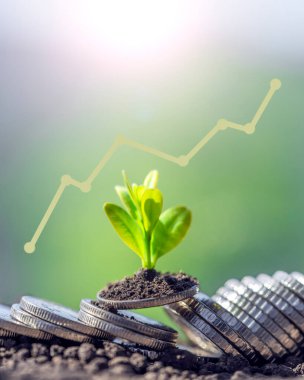 Finansal ve bankacılık büyümesi kavramı için bir yığın madeni para üzerinde bitki yetiştirmek. Ekinli bir yığın para. Finans ve muhasebe kavramı
