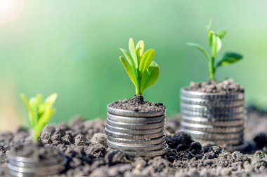 Finansal ve bankacılık büyümesi kavramı için bir yığın madeni para üzerinde bitki yetiştirmek. Ekinli bir yığın para. Finans ve muhasebe kavramı