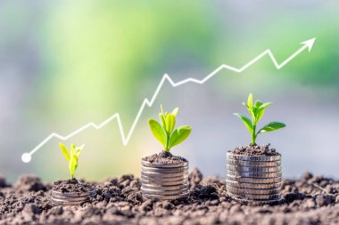 Finansal ve bankacılık büyümesi kavramı için bir yığın madeni para üzerinde bitki yetiştirmek. Ekinli bir yığın para. Finans ve muhasebe kavramı
