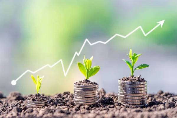 Finansal ve bankacılık büyümesi kavramı için bir yığın madeni para üzerinde bitki yetiştirmek. Ekinli bir yığın para. Finans ve muhasebe kavramı
