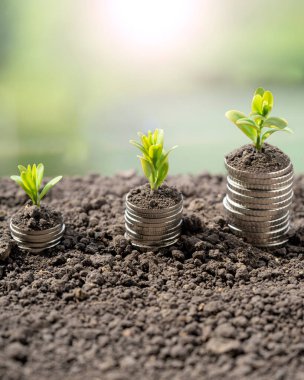 Toprakta yeşil yapraklı ve ağaçlı para büyümesi kavramı, iş ve tarım başarısı finansmanı. Tarım bitkisi yetiştirme Bahçede adım kavramı