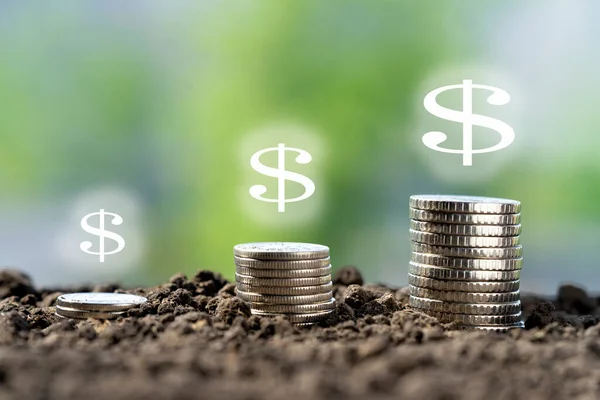 Toprakta yeşil yapraklı ve ağaçlı para büyümesi kavramı, iş ve tarım başarısı finansmanı. Tarım bitkisi yetiştirme Bahçede adım kavramı