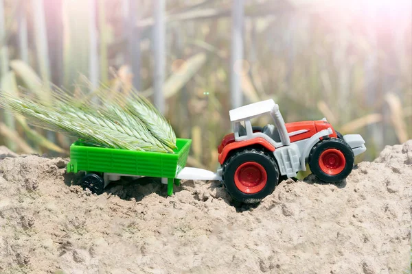 Agriculture concept with harvesting, tractor and money symbolizing about harvesting, earning money and productivity. Red tractor with grain trailer against the background of beds with wheat