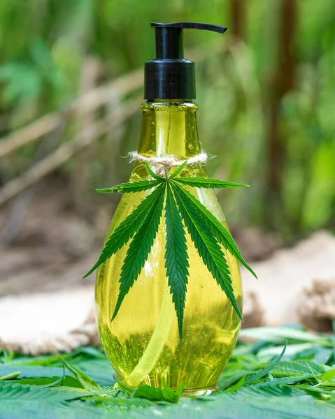 Hemp oil with hemp leaves. Top view of medical marijuana buds and hemp oil bottle