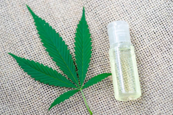 Hemp oil with hemp leaves. Top view of medical marijuana buds and hemp oil bottle