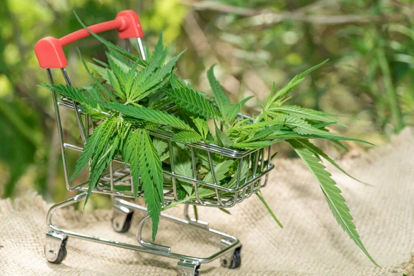 Supermarket trolley with marijuana leafs and medical cannabis oil