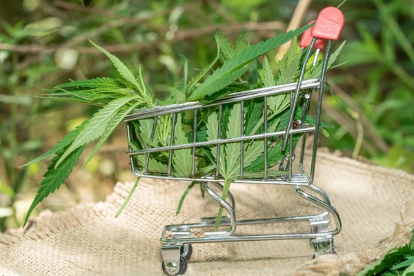 Chariot Supermarché Avec Feuilles Marijuana Huile Cannabis Médical — Photo