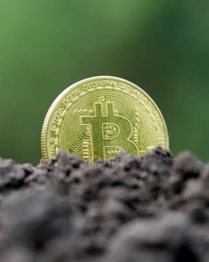 The concept of extraction and mining of cryptocurrency. Bitcoin dug up in the ground