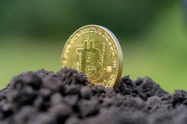 The concept of extraction and mining of cryptocurrency. Bitcoin dug up in the ground
