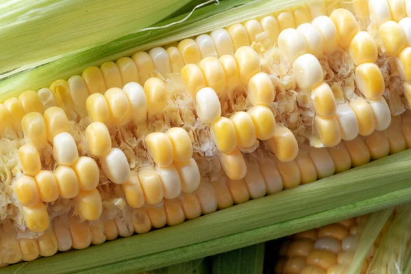 Raw cobs of young corn with leaves on a wooden table. the inscription on the cob \