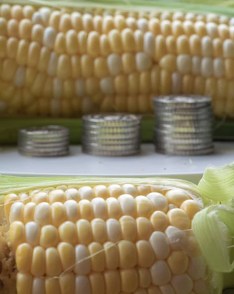 Raw cobs of young corn with leaves on a wooden table.