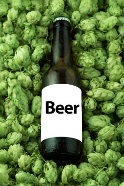 Brown ice beer bottle on green hops background