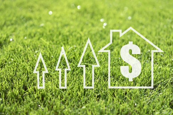 the concept of a rise in the price of real estate and houses on the background of a green lawn