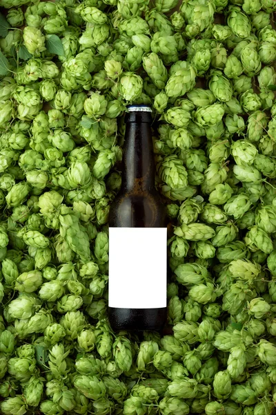 Brown Ice Beer Bottle Green Hops Background — Φωτογραφία Αρχείου
