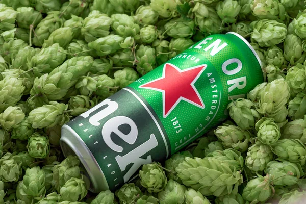 Kyiv Ukraine September 2022 Can Heineken Alcoholic Beer Lies Background — Stockfoto