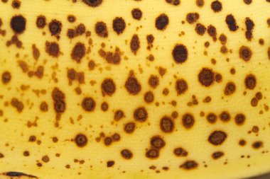 Sarı renk, muz dokusu - mikro görüntü. Olgunlaşmış organik muz dokusu