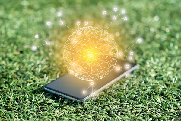 Technological background for your project. A cobweb and a round ball in lines emanating from a phone lying on the grass. Illustration of fast and convenient internet communications