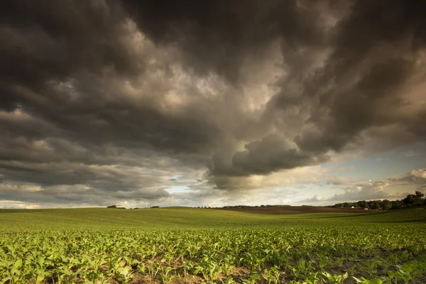 Stormdag . – stockfoto