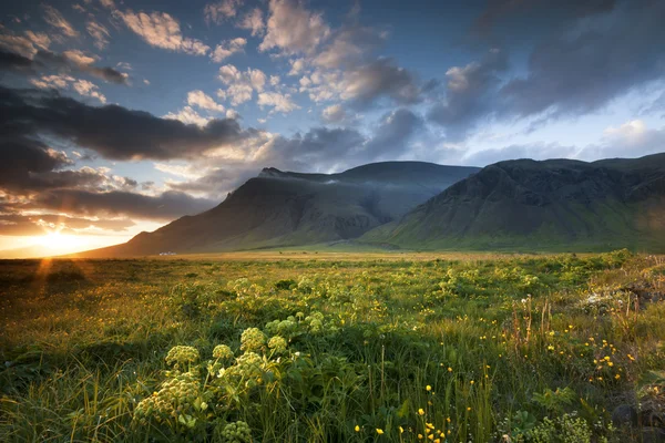 IJslandse zonsondergang. — Stockfoto