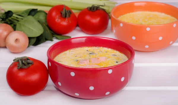Alabalık ve sebze ile peynir çorbası — Stok fotoğraf