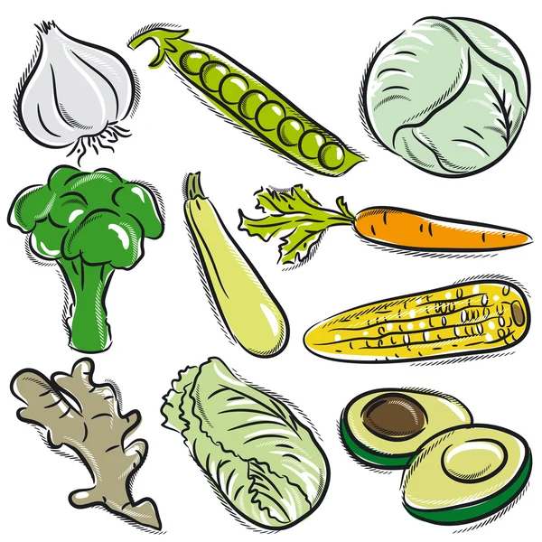 Conjunto de verduras, ajo, guisantes, col, vector — Vector de stock