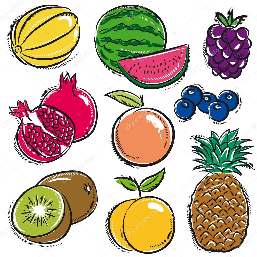 set of fruits, melon, watermelon, blackberry, peach, vector