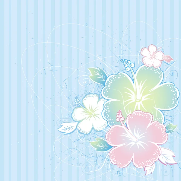 Ramo de hibisco sobre fondo azul — Vector de stock