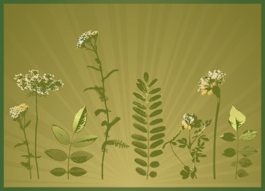 bitkilerin birçok siluetleri ile arka plan, vektör