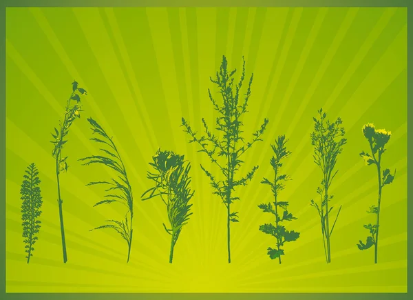 Groene achtergrond met vele silhouetten van planten, vector — Stockvector