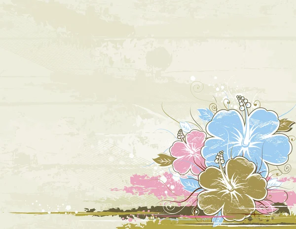 捧的米色背景上的芙蓉花 — 图库矢量图片
