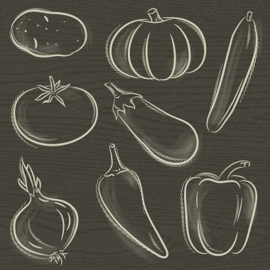 sebze, patates, kabak, salatalık, vektör çizim seti