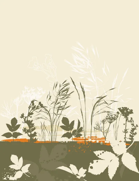 Groene tracering silhouetten: gras, bladeren, de bloem, vector — Stockvector
