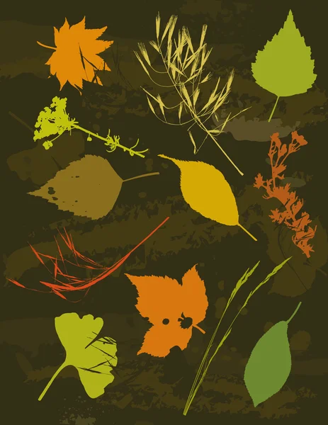 Muitas silhuetas de rastreamento: grama, folhas, flor, vetor —  Vetores de Stock