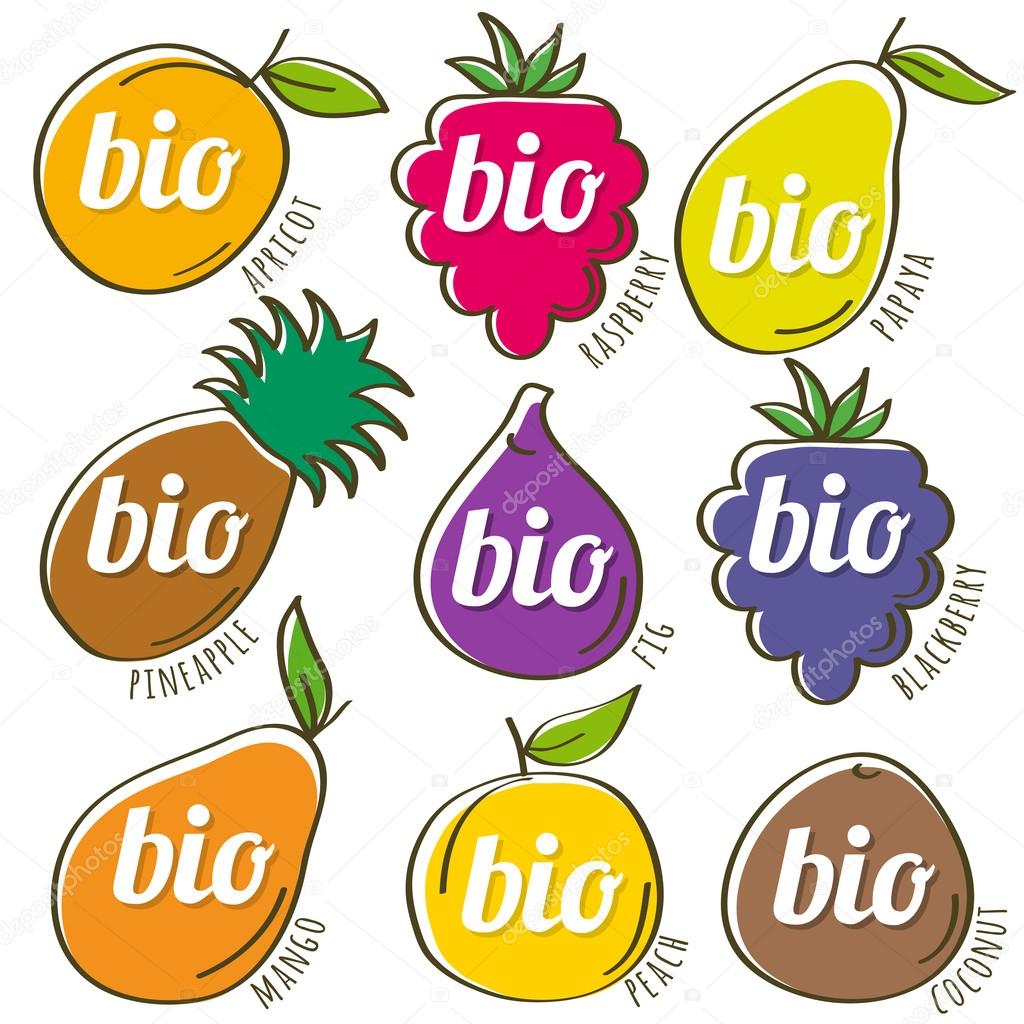 set of organic  fruit, vector illustration