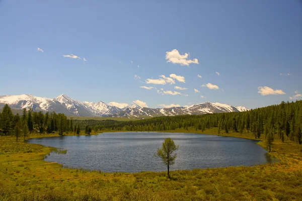 Mountain Lake no passo . — Fotografia de Stock