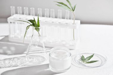 Esrar yüz kremi ve kenevir yaprakları laboratuvarda. Laboratuar masasında petri kapları ve cam eşyalar var. Dermatoloji konsepti, alternatif tedavi. ön görünüm