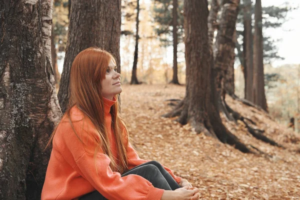 Young Red Haired Woman Wearing Orange Pullover Sitting Forest Tree — Stock Photo, Image