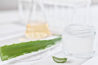 Kavanozda aloe vera yüz kremi ve aloe yaprağı. Bir laboratuvar petri kabı ve cam eşyalar. Dermatoloji konsepti. Besleyici ve nemlendirici cilt bakımı kozmetik çözeltisi. ön görünüm.