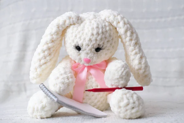 Вязать Белого Кролика Сидя Писать Письмо Красным Галькой Концепция Образования — стоковое фото