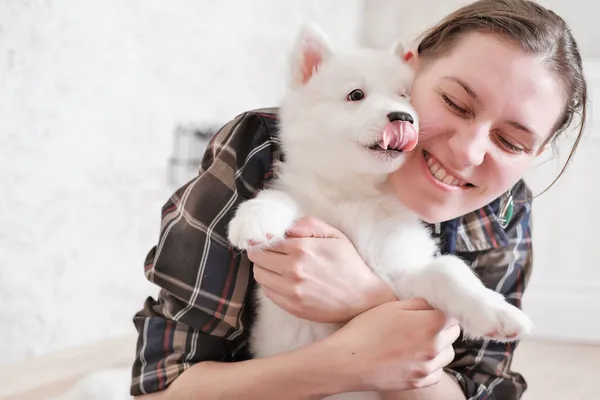 Mujer Sosteniendo Abrazando Yakutian Laika Cachorro Mientras Mostrando Una Lengua —  Fotos de Stock