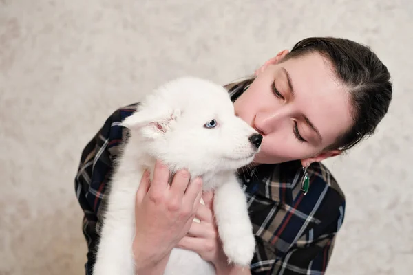 Молодая Женщина Целует Своего Щенка Белого Якутского Пса Лайка Голубыми Лицензионные Стоковые Изображения