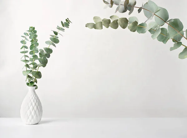 Primavera Eucaliptus Ramos Verdes Vaso Branco Mockup Para Colocação Produtos — Fotografia de Stock